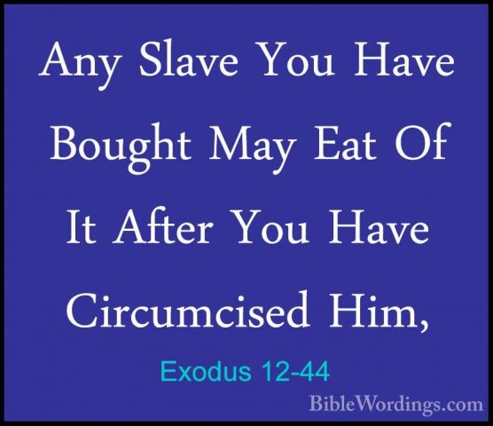 Exodus 12-44 - Any Slave You Have Bought May Eat Of It After YouAny Slave You Have Bought May Eat Of It After You Have Circumcised Him, 