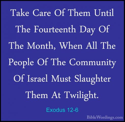 Exodus 12-6 - Take Care Of Them Until The Fourteenth Day Of The MTake Care Of Them Until The Fourteenth Day Of The Month, When All The People Of The Community Of Israel Must Slaughter Them At Twilight. 