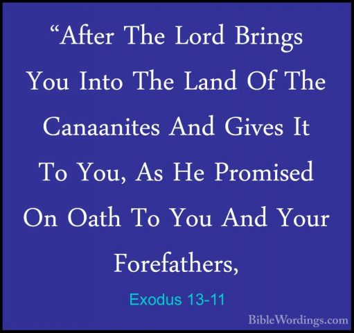 Exodus 13-11 - "After The Lord Brings You Into The Land Of The Ca"After The Lord Brings You Into The Land Of The Canaanites And Gives It To You, As He Promised On Oath To You And Your Forefathers, 