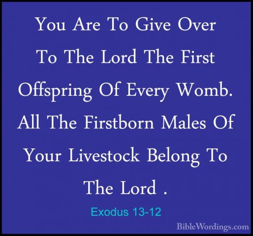 Exodus 13-12 - You Are To Give Over To The Lord The First OffspriYou Are To Give Over To The Lord The First Offspring Of Every Womb. All The Firstborn Males Of Your Livestock Belong To The Lord . 