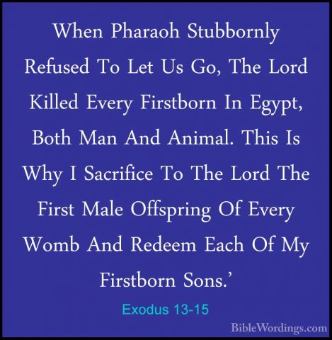 Exodus 13-15 - When Pharaoh Stubbornly Refused To Let Us Go, TheWhen Pharaoh Stubbornly Refused To Let Us Go, The Lord Killed Every Firstborn In Egypt, Both Man And Animal. This Is Why I Sacrifice To The Lord The First Male Offspring Of Every Womb And Redeem Each Of My Firstborn Sons.' 