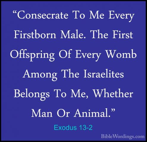 Exodus 13-2 - "Consecrate To Me Every Firstborn Male. The First O"Consecrate To Me Every Firstborn Male. The First Offspring Of Every Womb Among The Israelites Belongs To Me, Whether Man Or Animal." 