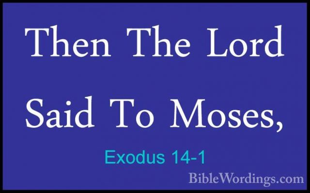 Exodus 14-1 - Then The Lord Said To Moses,Then The Lord Said To Moses, 