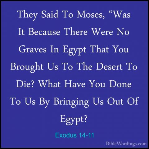 Exodus 14-11 - They Said To Moses, "Was It Because There Were NoThey Said To Moses, "Was It Because There Were No Graves In Egypt That You Brought Us To The Desert To Die? What Have You Done To Us By Bringing Us Out Of Egypt? 