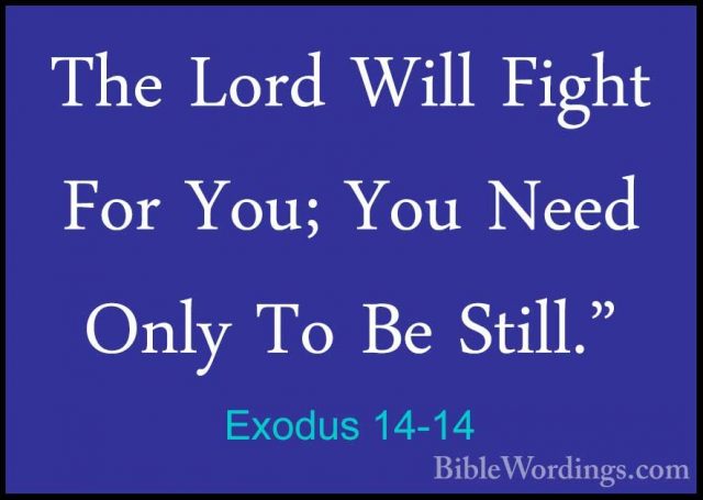 Exodus 14-14 - The Lord Will Fight For You; You Need Only To Be SThe Lord Will Fight For You; You Need Only To Be Still." 