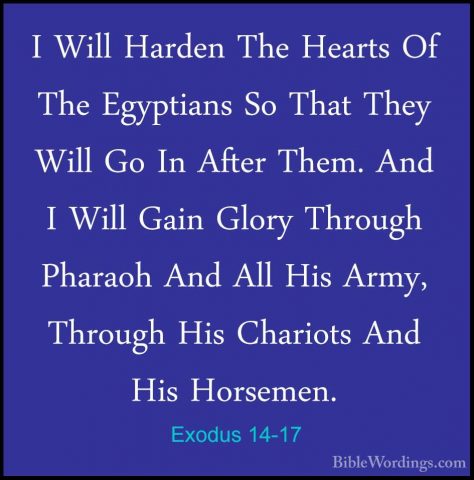 Exodus 14-17 - I Will Harden The Hearts Of The Egyptians So ThatI Will Harden The Hearts Of The Egyptians So That They Will Go In After Them. And I Will Gain Glory Through Pharaoh And All His Army, Through His Chariots And His Horsemen. 