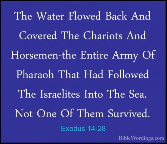 Exodus 14-28 - The Water Flowed Back And Covered The Chariots AndThe Water Flowed Back And Covered The Chariots And Horsemen-the Entire Army Of Pharaoh That Had Followed The Israelites Into The Sea. Not One Of Them Survived. 