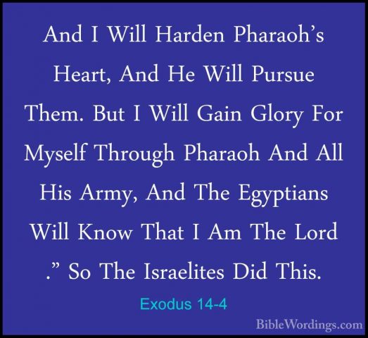 Exodus 14-4 - And I Will Harden Pharaoh's Heart, And He Will PursAnd I Will Harden Pharaoh's Heart, And He Will Pursue Them. But I Will Gain Glory For Myself Through Pharaoh And All His Army, And The Egyptians Will Know That I Am The Lord ." So The Israelites Did This. 