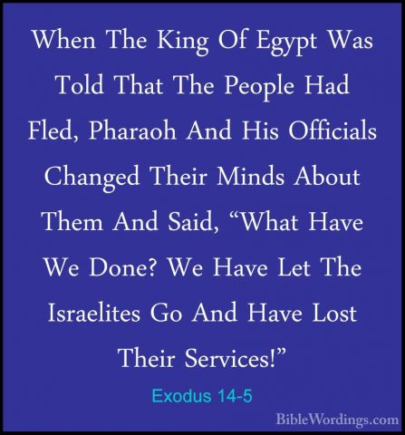 Exodus 14-5 - When The King Of Egypt Was Told That The People HadWhen The King Of Egypt Was Told That The People Had Fled, Pharaoh And His Officials Changed Their Minds About Them And Said, "What Have We Done? We Have Let The Israelites Go And Have Lost Their Services!" 
