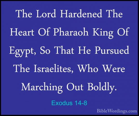 Exodus 14-8 - The Lord Hardened The Heart Of Pharaoh King Of EgypThe Lord Hardened The Heart Of Pharaoh King Of Egypt, So That He Pursued The Israelites, Who Were Marching Out Boldly. 