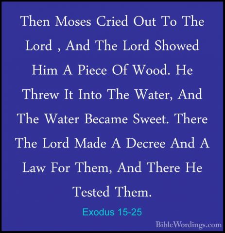 Exodus 15-25 - Then Moses Cried Out To The Lord , And The Lord ShThen Moses Cried Out To The Lord , And The Lord Showed Him A Piece Of Wood. He Threw It Into The Water, And The Water Became Sweet. There The Lord Made A Decree And A Law For Them, And There He Tested Them. 