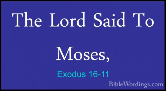 Exodus 16-11 - The Lord Said To Moses,The Lord Said To Moses, 