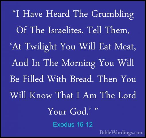 Exodus 16-12 - "I Have Heard The Grumbling Of The Israelites. Tel"I Have Heard The Grumbling Of The Israelites. Tell Them, 'At Twilight You Will Eat Meat, And In The Morning You Will Be Filled With Bread. Then You Will Know That I Am The Lord Your God.' " 