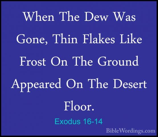 Exodus 16-14 - When The Dew Was Gone, Thin Flakes Like Frost On TWhen The Dew Was Gone, Thin Flakes Like Frost On The Ground Appeared On The Desert Floor. 