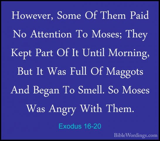 Exodus 16-20 - However, Some Of Them Paid No Attention To Moses;However, Some Of Them Paid No Attention To Moses; They Kept Part Of It Until Morning, But It Was Full Of Maggots And Began To Smell. So Moses Was Angry With Them. 