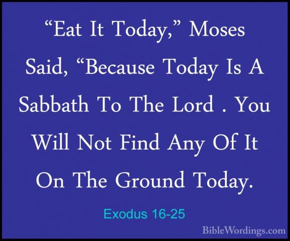 Exodus 16-25 - "Eat It Today," Moses Said, "Because Today Is A Sa"Eat It Today," Moses Said, "Because Today Is A Sabbath To The Lord . You Will Not Find Any Of It On The Ground Today. 