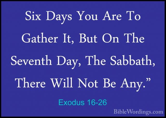 Exodus 16-26 - Six Days You Are To Gather It, But On The SeventhSix Days You Are To Gather It, But On The Seventh Day, The Sabbath, There Will Not Be Any." 