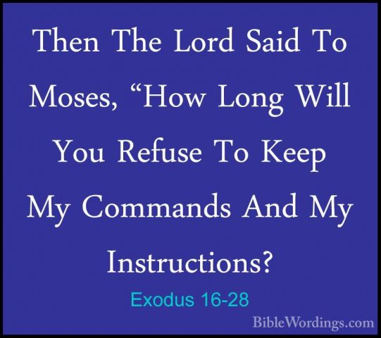 Exodus 16-28 - Then The Lord Said To Moses, "How Long Will You ReThen The Lord Said To Moses, "How Long Will You Refuse To Keep My Commands And My Instructions? 