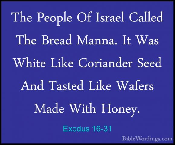 Exodus 16-31 - The People Of Israel Called The Bread Manna. It WaThe People Of Israel Called The Bread Manna. It Was White Like Coriander Seed And Tasted Like Wafers Made With Honey. 