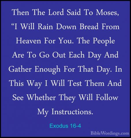 Exodus 16-4 - Then The Lord Said To Moses, "I Will Rain Down BreaThen The Lord Said To Moses, "I Will Rain Down Bread From Heaven For You. The People Are To Go Out Each Day And Gather Enough For That Day. In This Way I Will Test Them And See Whether They Will Follow My Instructions. 