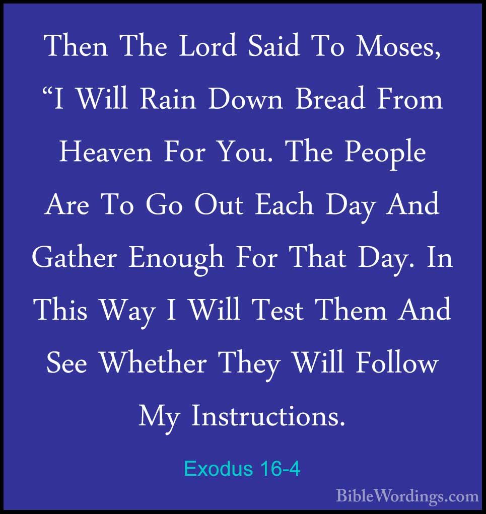 Exodus 16 Holy Bible English