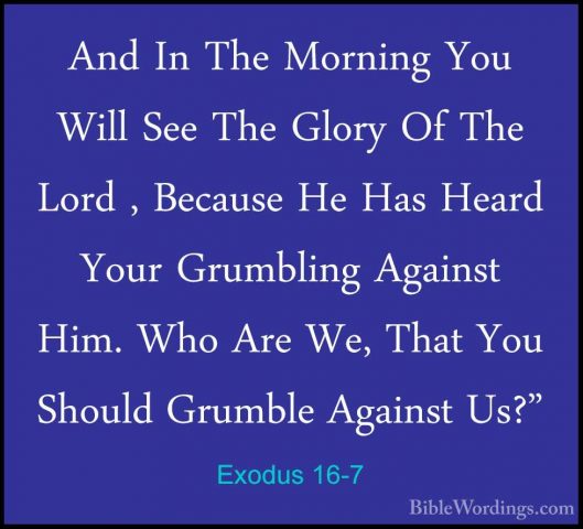 Exodus 16-7 - And In The Morning You Will See The Glory Of The LoAnd In The Morning You Will See The Glory Of The Lord , Because He Has Heard Your Grumbling Against Him. Who Are We, That You Should Grumble Against Us?" 
