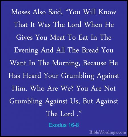 Exodus 16-8 - Moses Also Said, "You Will Know That It Was The LorMoses Also Said, "You Will Know That It Was The Lord When He Gives You Meat To Eat In The Evening And All The Bread You Want In The Morning, Because He Has Heard Your Grumbling Against Him. Who Are We? You Are Not Grumbling Against Us, But Against The Lord ." 