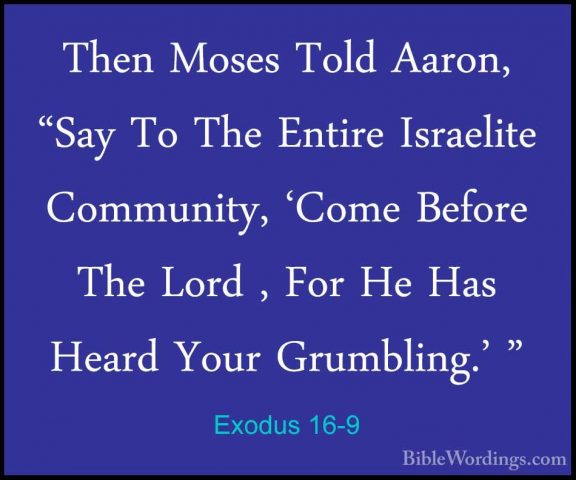 Exodus 16-9 - Then Moses Told Aaron, "Say To The Entire IsraeliteThen Moses Told Aaron, "Say To The Entire Israelite Community, 'Come Before The Lord , For He Has Heard Your Grumbling.' " 
