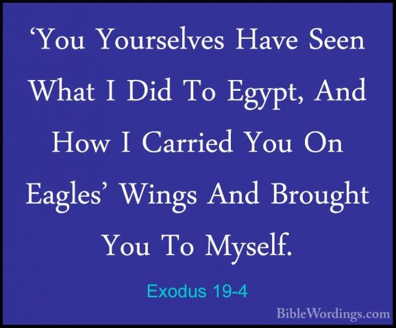 Exodus 19-4 - 'You Yourselves Have Seen What I Did To Egypt, And'You Yourselves Have Seen What I Did To Egypt, And How I Carried You On Eagles' Wings And Brought You To Myself. 