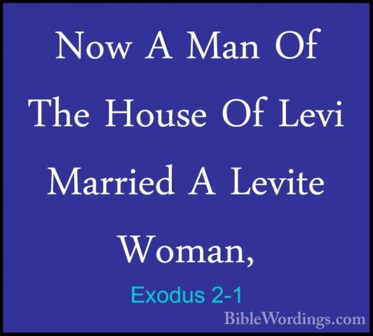 Exodus 2-1 - Now A Man Of The House Of Levi Married A Levite WomaNow A Man Of The House Of Levi Married A Levite Woman, 