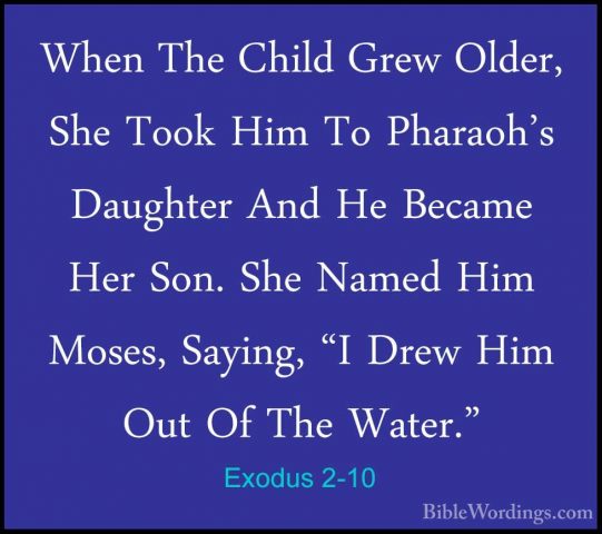 Exodus 2-10 - When The Child Grew Older, She Took Him To Pharaoh'When The Child Grew Older, She Took Him To Pharaoh's Daughter And He Became Her Son. She Named Him Moses, Saying, "I Drew Him Out Of The Water." 