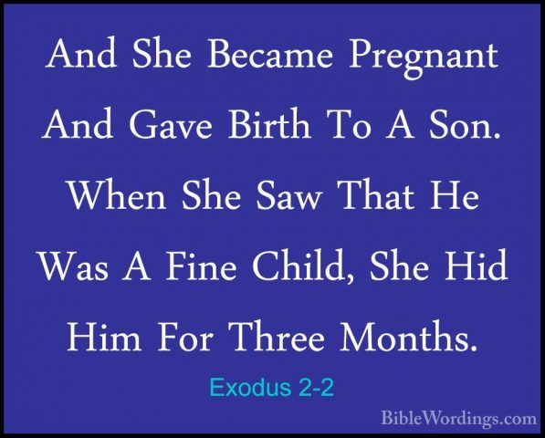Exodus 2-2 - And She Became Pregnant And Gave Birth To A Son. WheAnd She Became Pregnant And Gave Birth To A Son. When She Saw That He Was A Fine Child, She Hid Him For Three Months. 