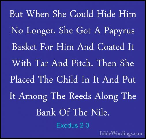 Exodus 2-3 - But When She Could Hide Him No Longer, She Got A PapBut When She Could Hide Him No Longer, She Got A Papyrus Basket For Him And Coated It With Tar And Pitch. Then She Placed The Child In It And Put It Among The Reeds Along The Bank Of The Nile. 