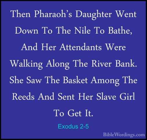 Exodus 2-5 - Then Pharaoh's Daughter Went Down To The Nile To BatThen Pharaoh's Daughter Went Down To The Nile To Bathe, And Her Attendants Were Walking Along The River Bank. She Saw The Basket Among The Reeds And Sent Her Slave Girl To Get It. 