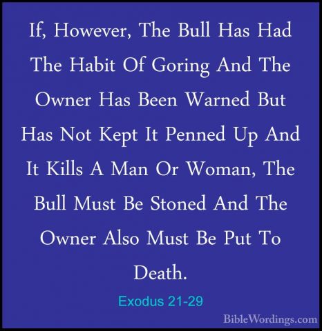 Exodus 21-29 - If, However, The Bull Has Had The Habit Of GoringIf, However, The Bull Has Had The Habit Of Goring And The Owner Has Been Warned But Has Not Kept It Penned Up And It Kills A Man Or Woman, The Bull Must Be Stoned And The Owner Also Must Be Put To Death. 