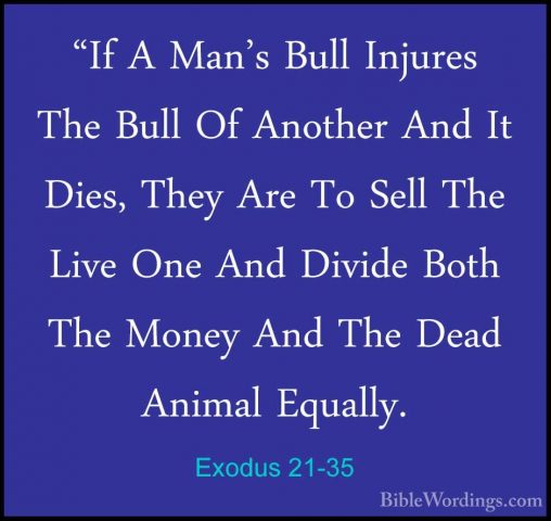 Exodus 21-35 - "If A Man's Bull Injures The Bull Of Another And I"If A Man's Bull Injures The Bull Of Another And It Dies, They Are To Sell The Live One And Divide Both The Money And The Dead Animal Equally. 