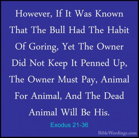 Exodus 21-36 - However, If It Was Known That The Bull Had The HabHowever, If It Was Known That The Bull Had The Habit Of Goring, Yet The Owner Did Not Keep It Penned Up, The Owner Must Pay, Animal For Animal, And The Dead Animal Will Be His.