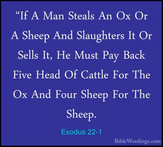 Exodus 22-1 - "If A Man Steals An Ox Or A Sheep And Slaughters It"If A Man Steals An Ox Or A Sheep And Slaughters It Or Sells It, He Must Pay Back Five Head Of Cattle For The Ox And Four Sheep For The Sheep. 
