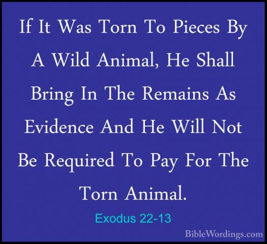 Exodus 22-13 - If It Was Torn To Pieces By A Wild Animal, He ShalIf It Was Torn To Pieces By A Wild Animal, He Shall Bring In The Remains As Evidence And He Will Not Be Required To Pay For The Torn Animal. 
