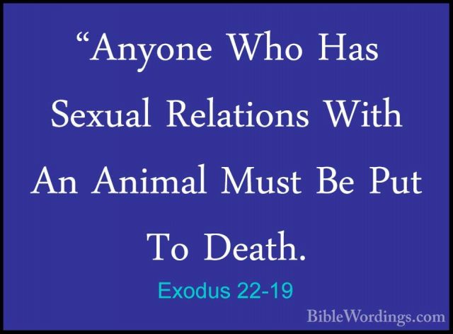 Exodus 22-19 - "Anyone Who Has Sexual Relations With An Animal Mu"Anyone Who Has Sexual Relations With An Animal Must Be Put To Death. 