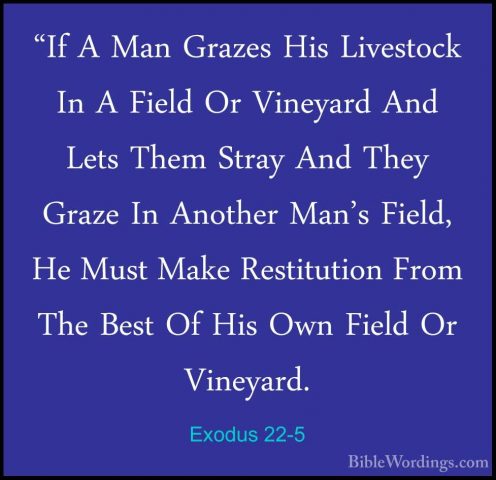 Exodus 22-5 - "If A Man Grazes His Livestock In A Field Or Vineya"If A Man Grazes His Livestock In A Field Or Vineyard And Lets Them Stray And They Graze In Another Man's Field, He Must Make Restitution From The Best Of His Own Field Or Vineyard. 