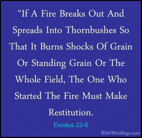Exodus 22-6 - "If A Fire Breaks Out And Spreads Into Thornbushes"If A Fire Breaks Out And Spreads Into Thornbushes So That It Burns Shocks Of Grain Or Standing Grain Or The Whole Field, The One Who Started The Fire Must Make Restitution. 