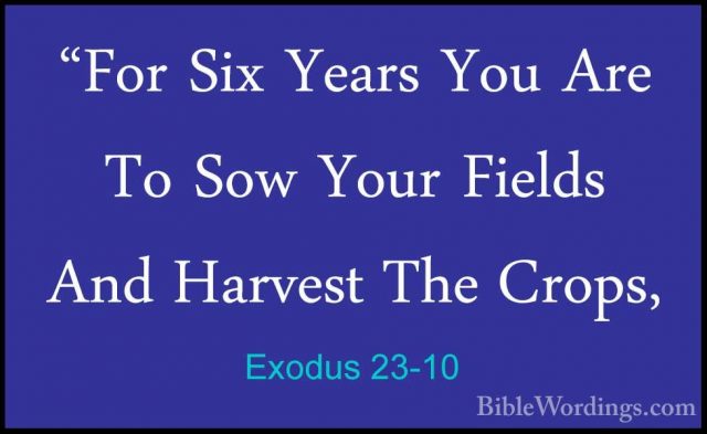 Exodus 23-10 - "For Six Years You Are To Sow Your Fields And Harv"For Six Years You Are To Sow Your Fields And Harvest The Crops, 