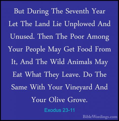 Exodus 23-11 - But During The Seventh Year Let The Land Lie UnploBut During The Seventh Year Let The Land Lie Unplowed And Unused. Then The Poor Among Your People May Get Food From It, And The Wild Animals May Eat What They Leave. Do The Same With Your Vineyard And Your Olive Grove. 