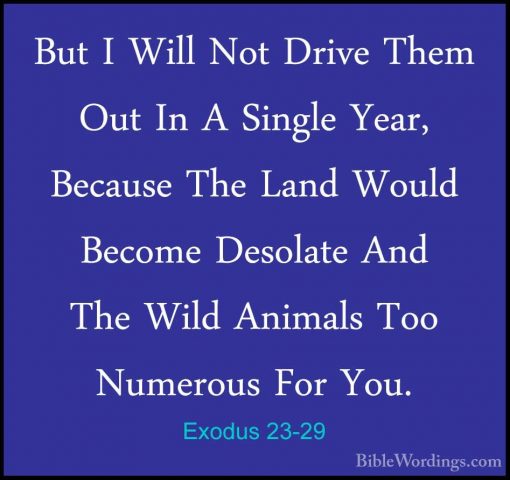 Exodus 23-29 - But I Will Not Drive Them Out In A Single Year, BeBut I Will Not Drive Them Out In A Single Year, Because The Land Would Become Desolate And The Wild Animals Too Numerous For You. 