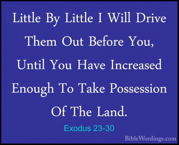 Exodus 23-30 - Little By Little I Will Drive Them Out Before You,Little By Little I Will Drive Them Out Before You, Until You Have Increased Enough To Take Possession Of The Land. 