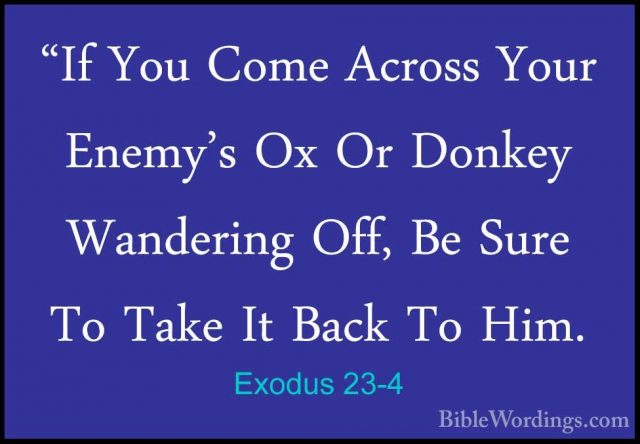 Exodus 23-4 - "If You Come Across Your Enemy's Ox Or Donkey Wande"If You Come Across Your Enemy's Ox Or Donkey Wandering Off, Be Sure To Take It Back To Him. 