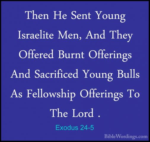Exodus 24-5 - Then He Sent Young Israelite Men, And They OfferedThen He Sent Young Israelite Men, And They Offered Burnt Offerings And Sacrificed Young Bulls As Fellowship Offerings To The Lord . 