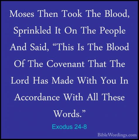 Exodus 24-8 - Moses Then Took The Blood, Sprinkled It On The PeopMoses Then Took The Blood, Sprinkled It On The People And Said, "This Is The Blood Of The Covenant That The Lord Has Made With You In Accordance With All These Words." 