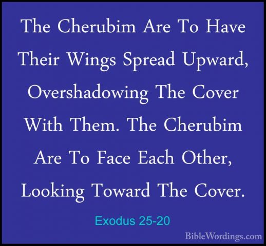 Exodus 25-20 - The Cherubim Are To Have Their Wings Spread UpwardThe Cherubim Are To Have Their Wings Spread Upward, Overshadowing The Cover With Them. The Cherubim Are To Face Each Other, Looking Toward The Cover. 
